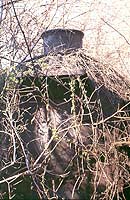 sm1134_2.jpg (20417 bytes)