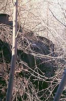 sm1134_3.jpg (20747 bytes)