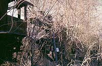 sm1134_4.jpg (18330 bytes)